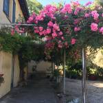 Rose arches to front