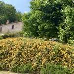 View from pool area to The Retreat