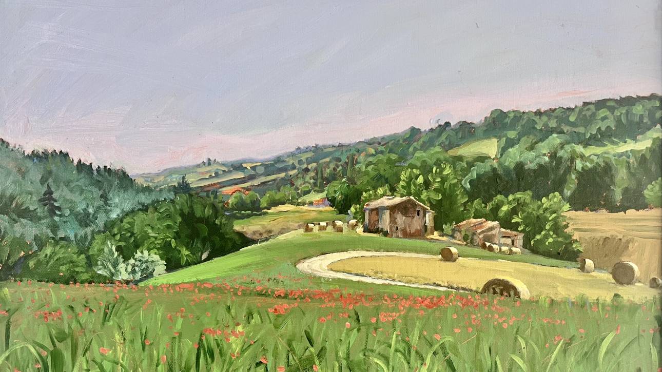 Poppy Field in Le Marche